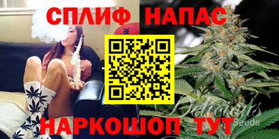 гашик Балахна