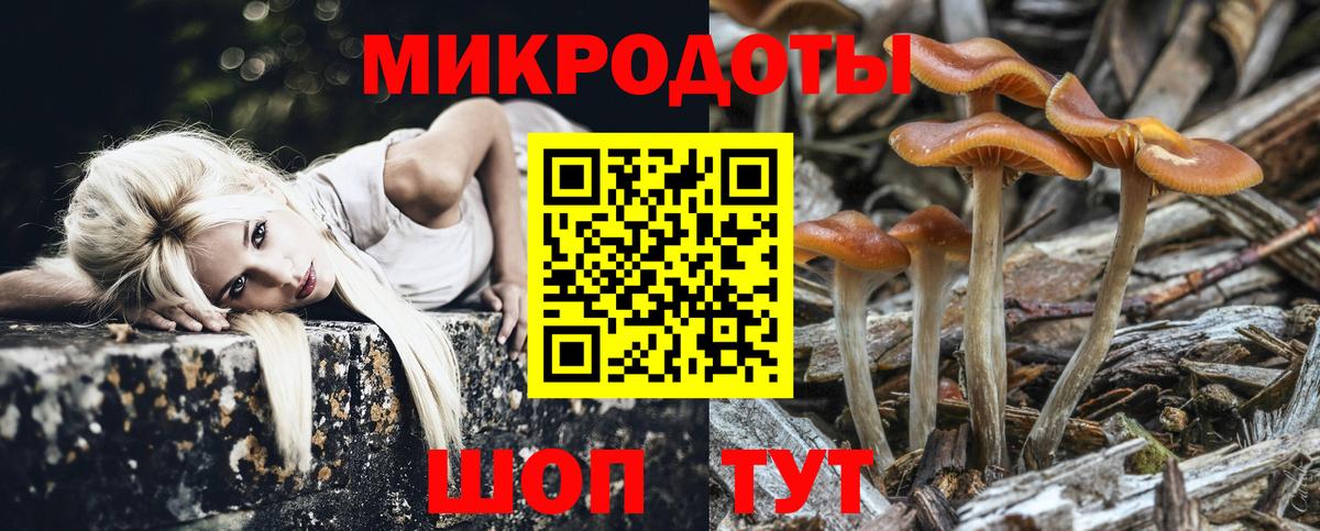 Псилоцибиновые грибы GOLDEN TEACHER  Канаш  Галлюциногенные грибы Psilocybe 