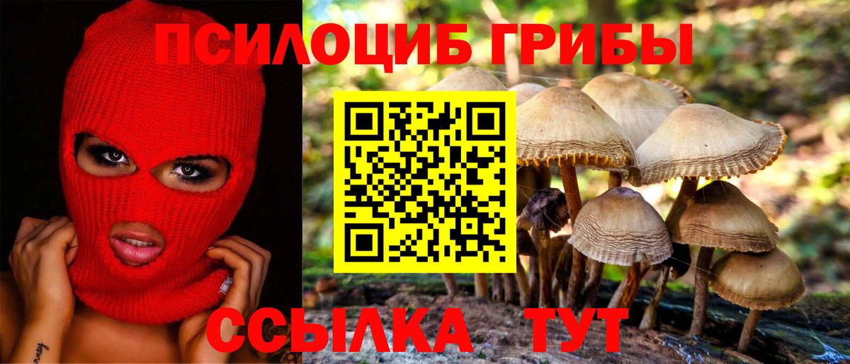 Галлюциногенные грибы GOLDEN TEACHER Канаш