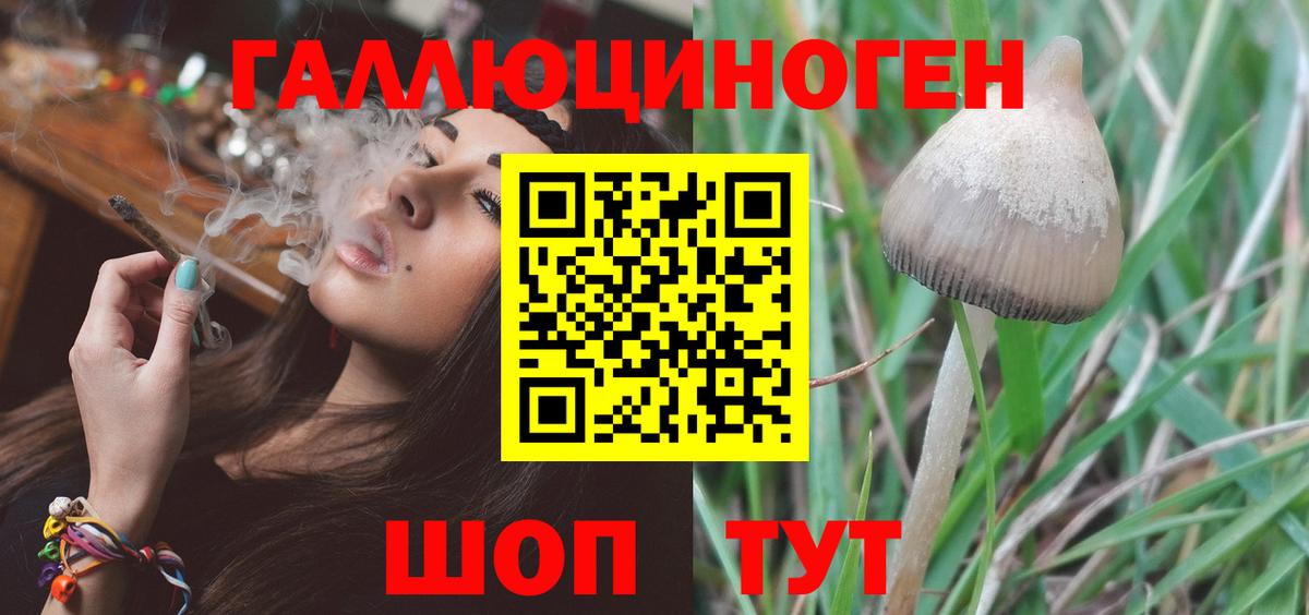 Канаш  Галлюциногенные грибы MAGIC MUSHROOMS  купить  цена  Вход с VPN 