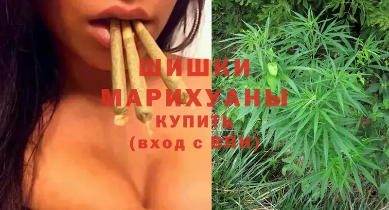 закладка  Канаш  мориарти наркотические препараты  МАРИХУАНА OG Kush 